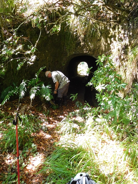 03.08.2015 Levada do Norte und Plaino Velho, Aufstieg zur Paul da Serra — Levada do Plaino Velho bis zur Madre — Foto 1