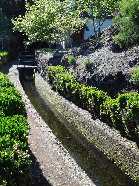 03.08.2015 Levada do Norte und Plaino Velho, Aufstieg zur Paul da Serra — Vom Levadahaus bis zum ersten Tunnel — Foto 4