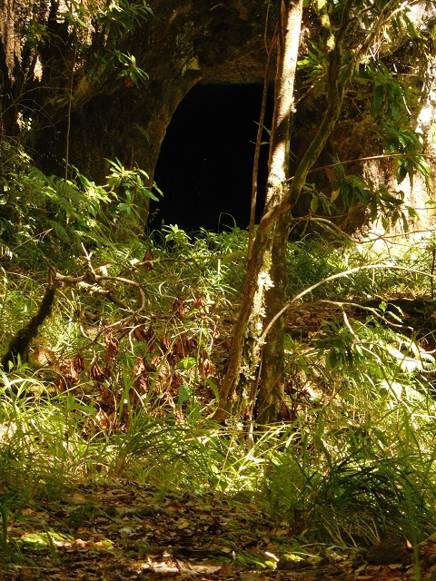 03.08.2015 Levada do Norte und Plaino Velho, Aufstieg zur Paul da Serra — Levada do Plaino Velho bis zur Madre — Foto 4