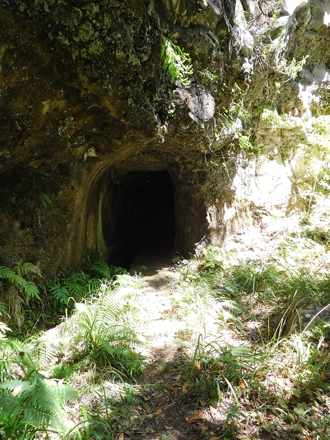 03.08.2015 Levada do Norte und Plaino Velho, Aufstieg zur Paul da Serra — Levada do Plaino Velho bis zur Madre — Foto 7