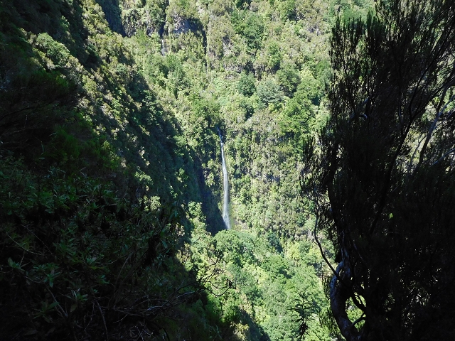 03.08.2015 Levada do Norte und Plaino Velho, Aufstieg zur Paul da Serra — Levada do Plaino Velho bis zur Madre — Foto 11
