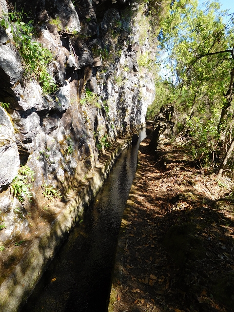 03.08.2015 Levada do Norte und Plaino Velho, Aufstieg zur Paul da Serra — Vom Levadahaus bis zum ersten Tunnel — Foto 5