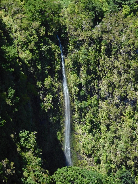 03.08.2015 Levada do Norte und Plaino Velho, Aufstieg zur Paul da Serra — Levada do Plaino Velho bis zur Madre — Foto 12