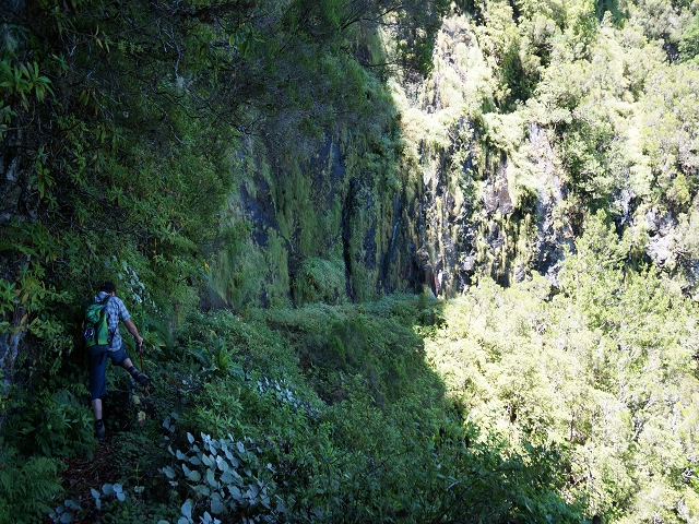 03.08.2015 Levada do Norte und Plaino Velho, Aufstieg zur Paul da Serra — Levada do Plaino Velho bis zur Madre — Foto 15