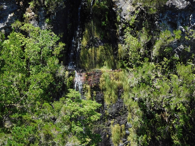 03.08.2015 Levada do Norte und Plaino Velho, Aufstieg zur Paul da Serra — Levada do Plaino Velho bis zur Madre — Foto 17