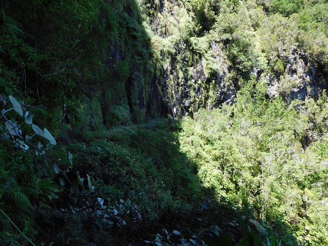 03.08.2015 Levada do Norte und Plaino Velho, Aufstieg zur Paul da Serra — Levada do Plaino Velho bis zur Madre — Foto 20
