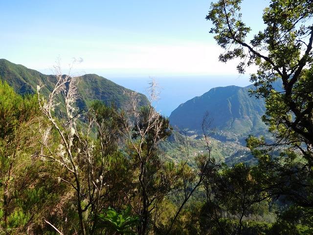 03.08.2015 Levada do Norte und Plaino Velho, Aufstieg zur Paul da Serra — Vom Levadahaus bis zum ersten Tunnel — Foto 6