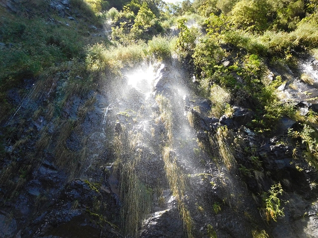 03.08.2015 Levada do Norte und Plaino Velho, Aufstieg zur Paul da Serra — Madre der Levada do Plaino Velho — Foto 6