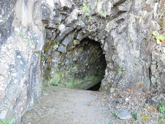 03.08.2015 Levada do Norte und Plaino Velho, Aufstieg zur Paul da Serra — Vom Levadahaus bis zum ersten Tunnel — Foto 7