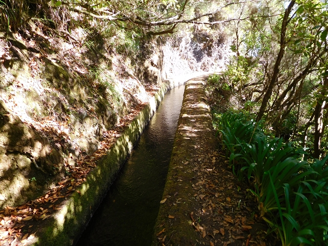 03.08.2015 Levada do Norte und Plaino Velho, Aufstieg zur Paul da Serra — Nach dem zweiten Tunnel — Foto 1