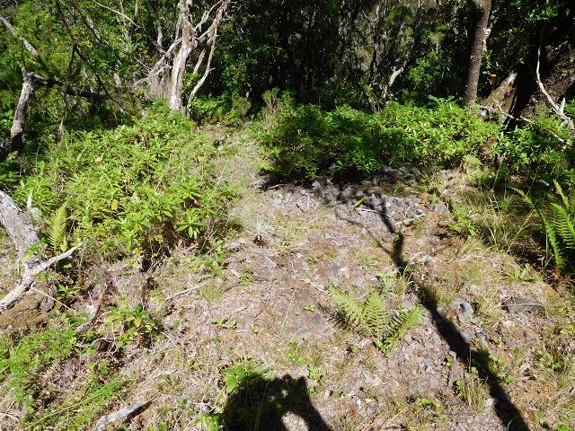 03.08.2015 Levada do Norte und Plaino Velho, Aufstieg zur Paul da Serra — Aufstieg zur Paul da Serra — Foto 1