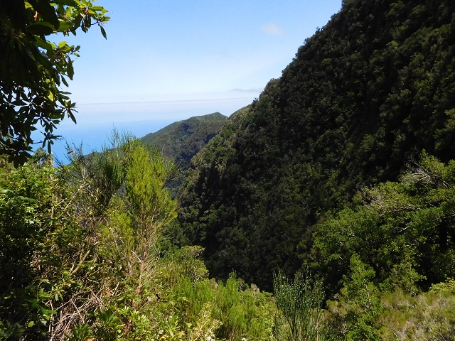 03.08.2015 Levada do Norte und Plaino Velho, Aufstieg zur Paul da Serra — Aufstieg zur Paul da Serra — Foto 7