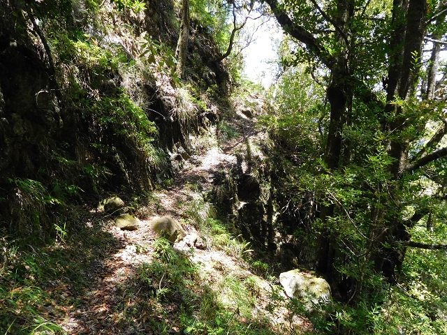03.08.2015 Levada do Norte und Plaino Velho, Aufstieg zur Paul da Serra — Aufstieg zur Paul da Serra — Foto 9