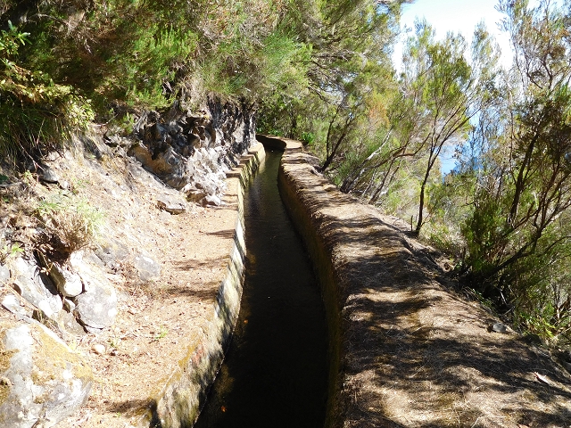 03.08.2015 Levada do Norte und Plaino Velho, Aufstieg zur Paul da Serra — Nach dem zweiten Tunnel — Foto 2