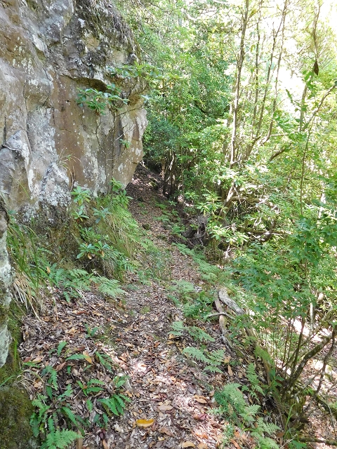 03.08.2015 Levada do Norte und Plaino Velho, Aufstieg zur Paul da Serra — Aufstieg zur Paul da Serra — Foto 11