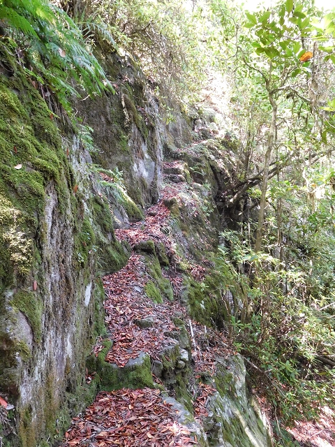 03.08.2015 Levada do Norte und Plaino Velho, Aufstieg zur Paul da Serra — Aufstieg zur Paul da Serra — Foto 13