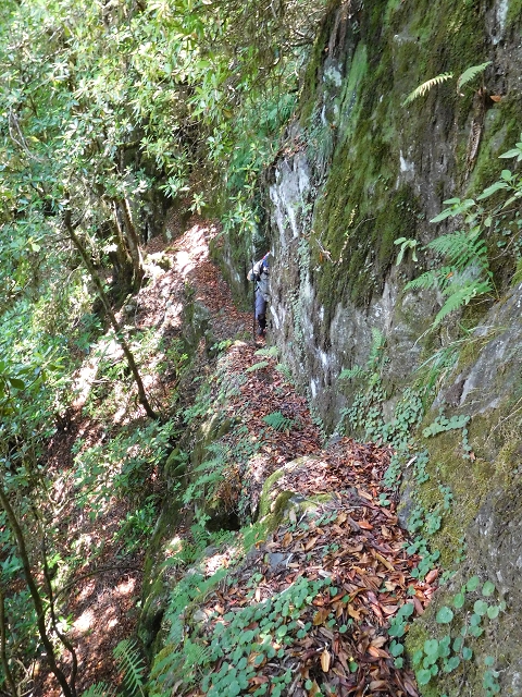 03.08.2015 Levada do Norte und Plaino Velho, Aufstieg zur Paul da Serra — Aufstieg zur Paul da Serra — Foto 14