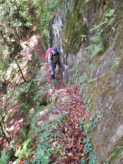03.08.2015 Levada do Norte und Plaino Velho, Aufstieg zur Paul da Serra — Aufstieg zur Paul da Serra — Foto 15