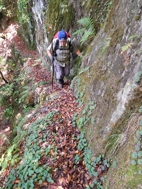 03.08.2015 Levada do Norte und Plaino Velho, Aufstieg zur Paul da Serra — Aufstieg zur Paul da Serra — Foto 16