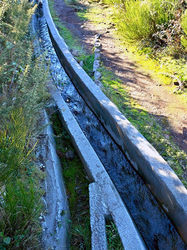 Levadinha da Serra — Na zona de Cristo Rei — foto 5