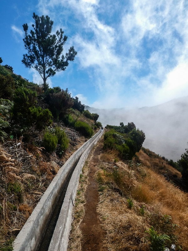 3 August 2021 Under the wind turbines — As far as the levada steps — photo 8