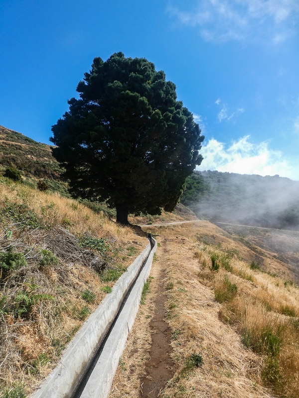 3 August 2021 Under the wind turbines — As far as the levada steps — photo 9