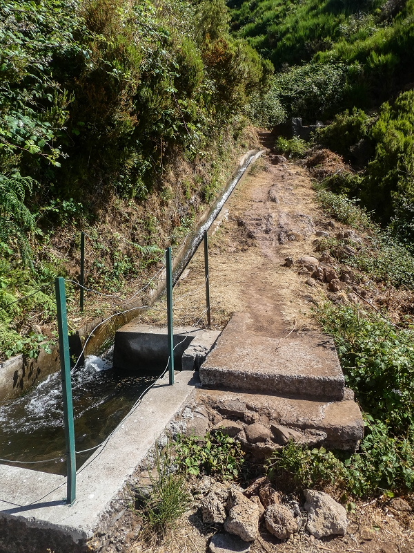 3 August 2021 Under the wind turbines — As far as the levada steps — photo 10