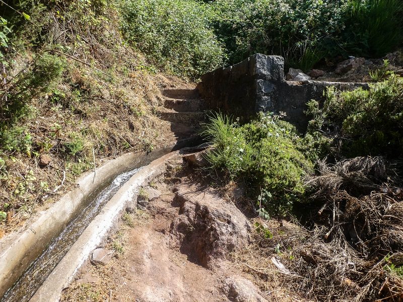 3 August 2021 Under the wind turbines — As far as the levada steps — photo 11
