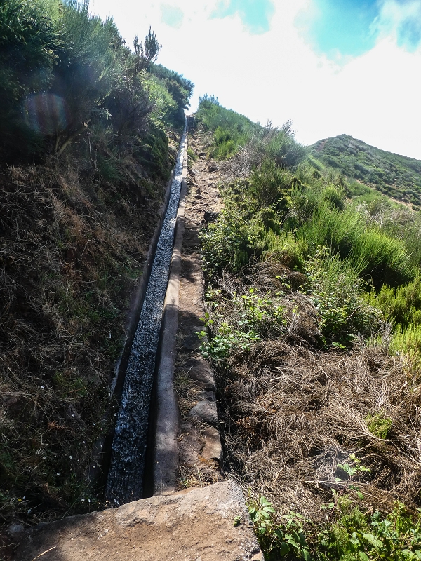3 August 2021 Under the wind turbines — As far as the levada steps — photo 12