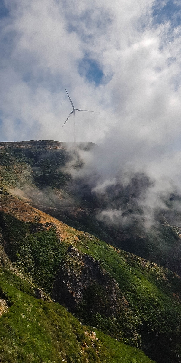 3 August 2021 Under the wind turbines — As far as the levada steps — photo 14