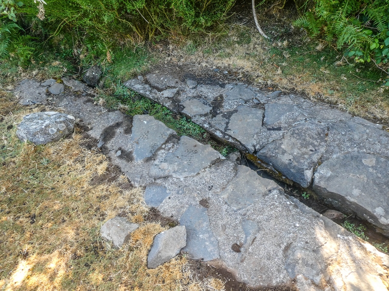 Levadinha da Serra — Na zona de Cristo Rei — foto 7