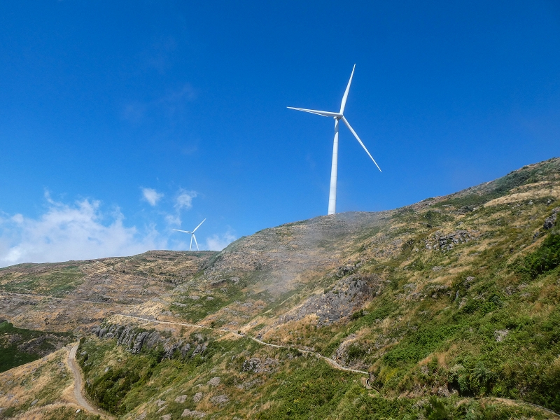 3 August 2021 Under the wind turbines — As far as the levada steps — photo 18