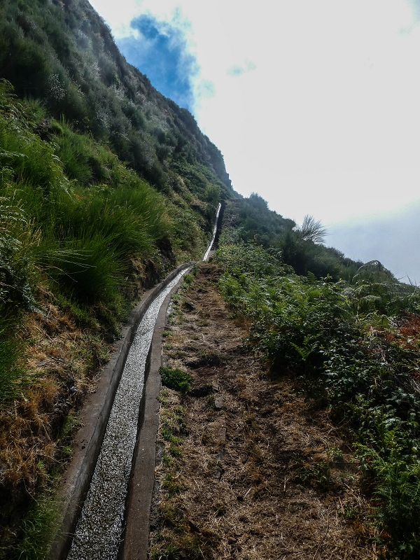 3 August 2021 Under the wind turbines — Over the levada steps to the Madre waterfall — photo 1