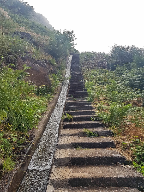 3 August 2021 Under the wind turbines — Over the levada steps to the Madre waterfall — photo 2