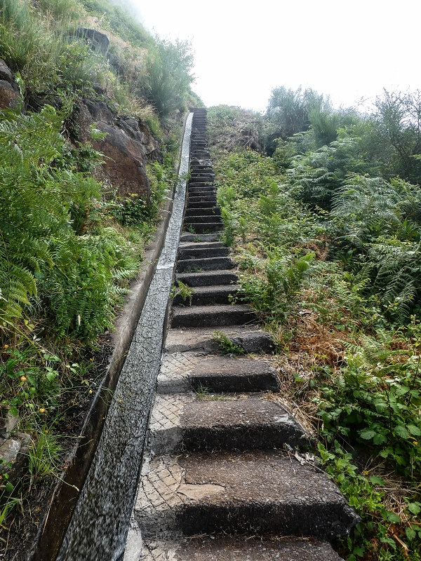 3 August 2021 Under the wind turbines — Over the levada steps to the Madre waterfall — photo 3