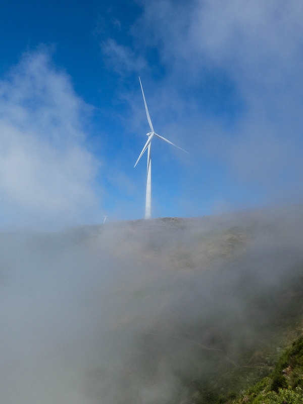 3 August 2021 Under the wind turbines — Over the levada steps to the Madre waterfall — photo 4