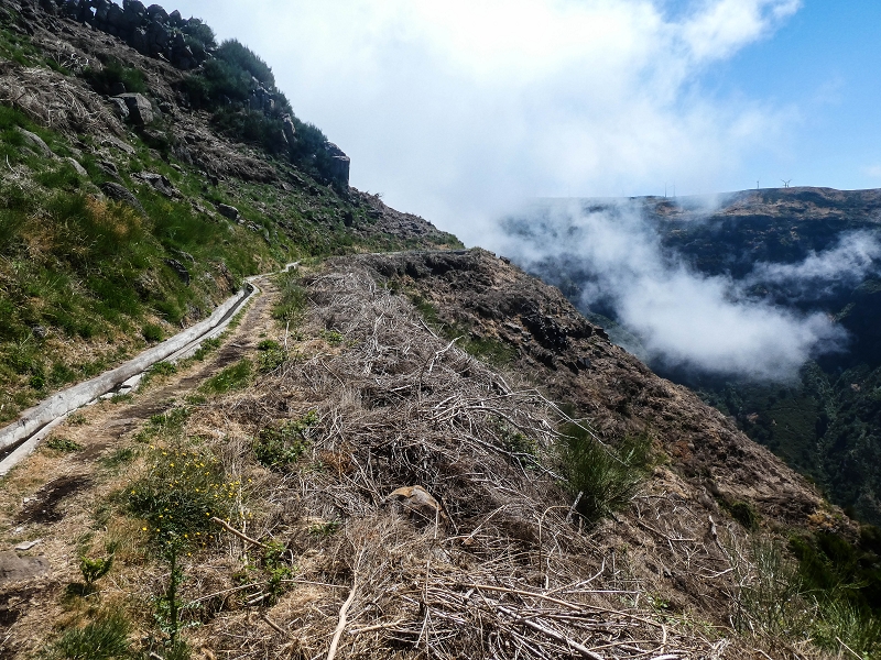 3 August 2021 Under the wind turbines — Over the levada steps to the Madre waterfall — photo 5
