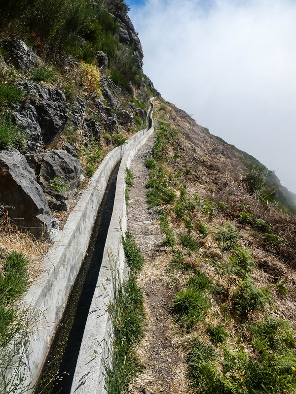 3 August 2021 Under the wind turbines — Over the levada steps to the Madre waterfall — photo 6