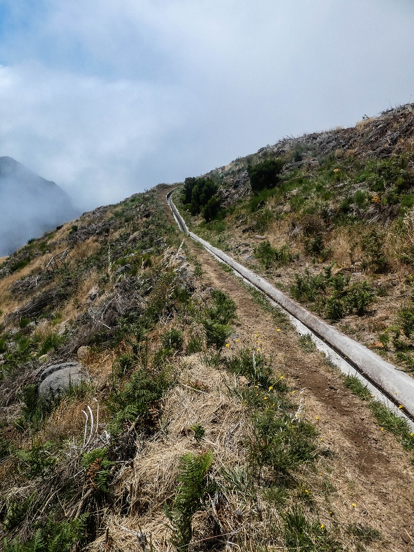 3 August 2021 Under the wind turbines — Over the levada steps to the Madre waterfall — photo 7