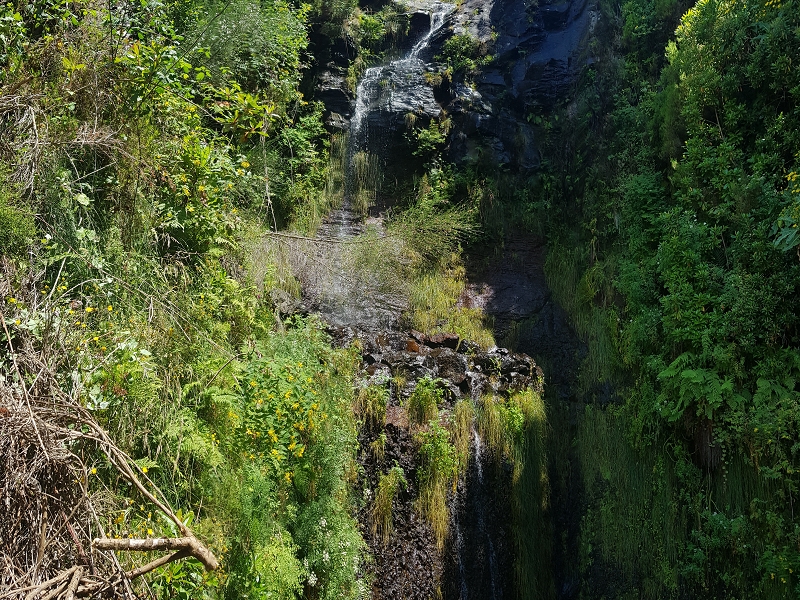 3 August 2021 Under the wind turbines — Over the levada steps to the Madre waterfall — photo 9