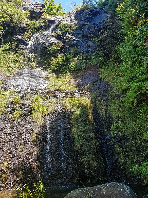 3 August 2021 Under the wind turbines — Over the levada steps to the Madre waterfall — photo 10
