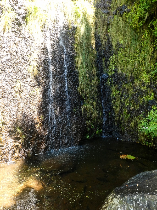 3 August 2021 Under the wind turbines — Over the levada steps to the Madre waterfall — photo 11