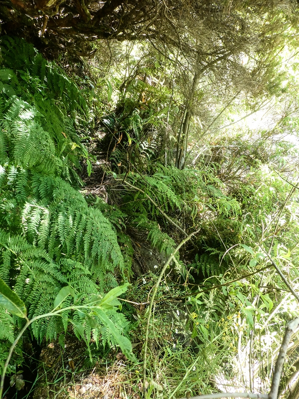 3 August 2021 Under the wind turbines — On to the old Madre — photo 2