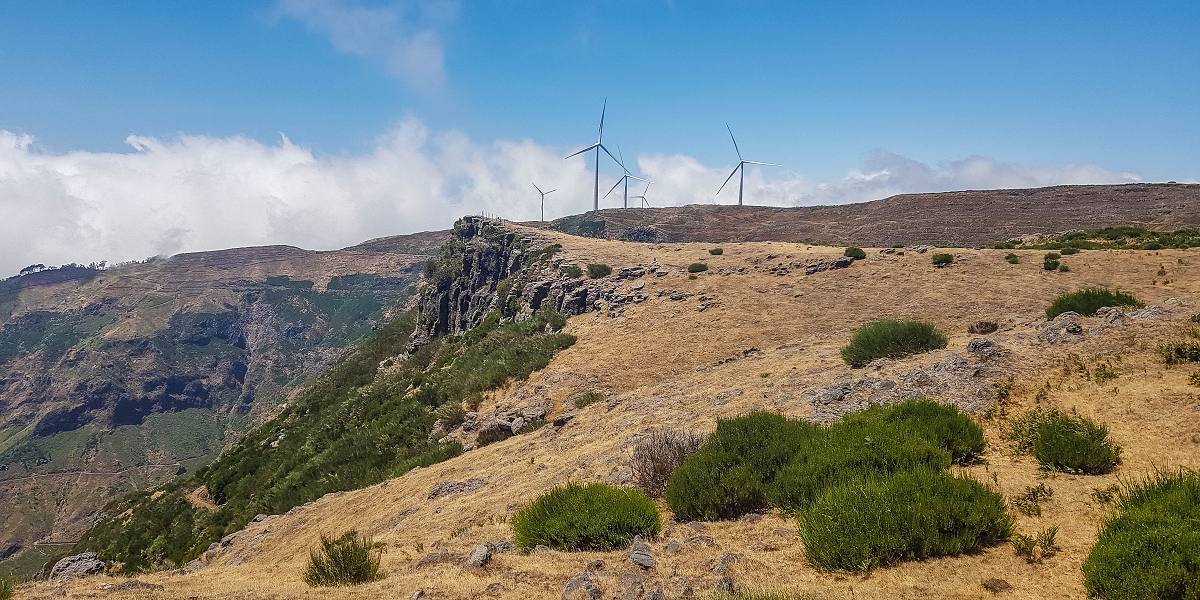 3 August 2021 Under the wind turbines — Miradouro do Cascalho — photo 1