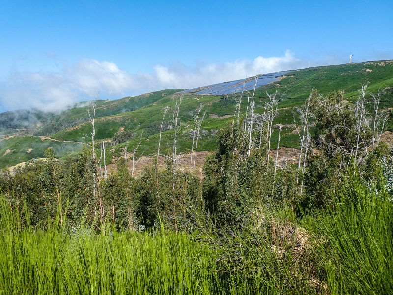 3 August 2021 Under the wind turbines — As far as the levada steps — photo 2