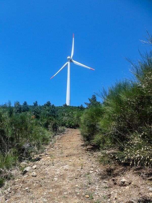 3 August 2021 Under the wind turbines — Fonte do Juncal — photo 3