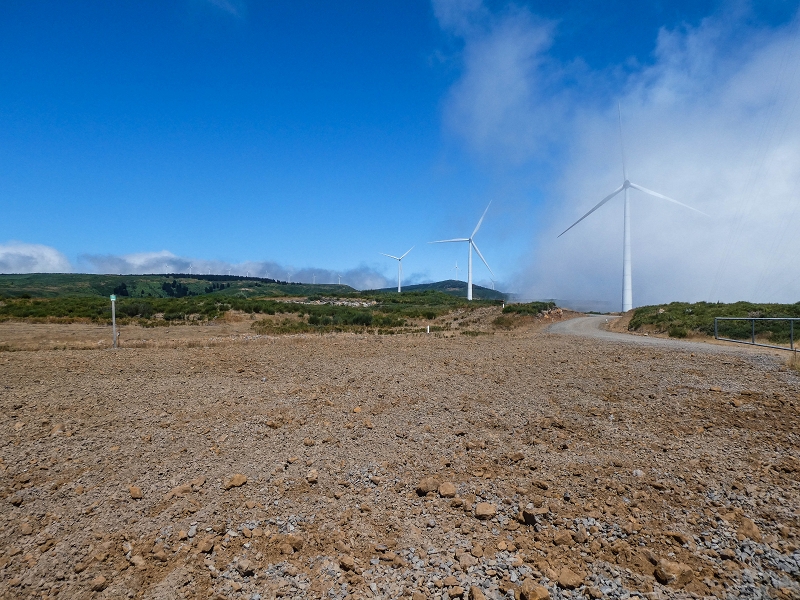 3 August 2021 Under the wind turbines — One of the giants — photo 1