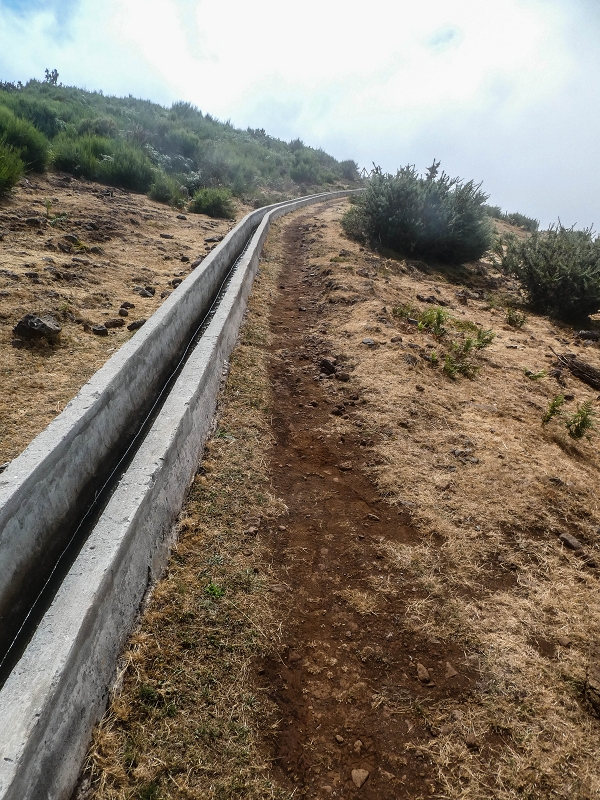 3 August 2021 Under the wind turbines — As far as the levada steps — photo 4