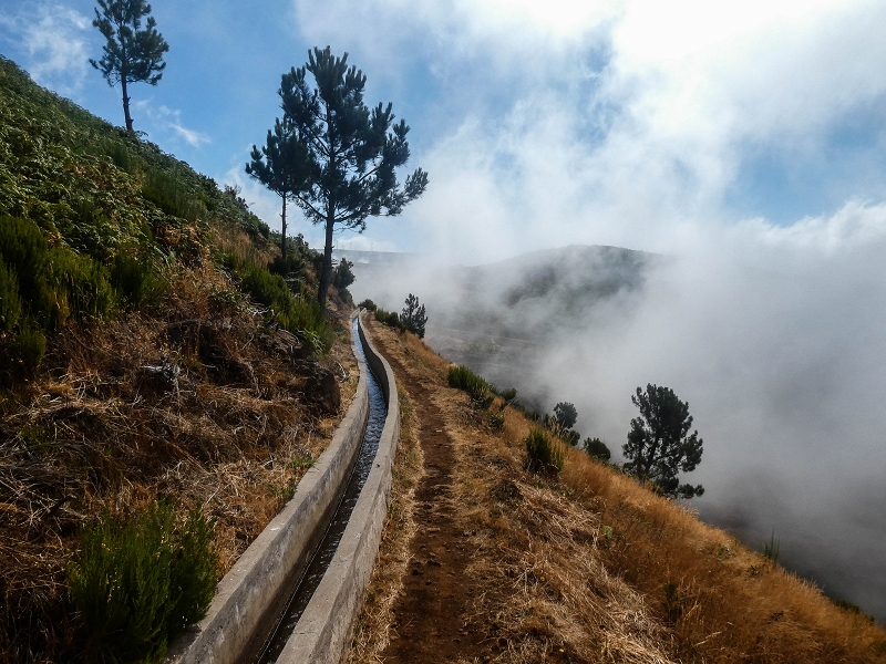 3 August 2021 Under the wind turbines — As far as the levada steps — photo 5