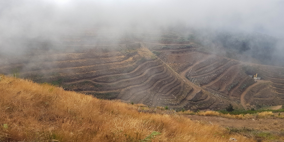 3 August 2021 Under the wind turbines — As far as the levada steps — photo 6
